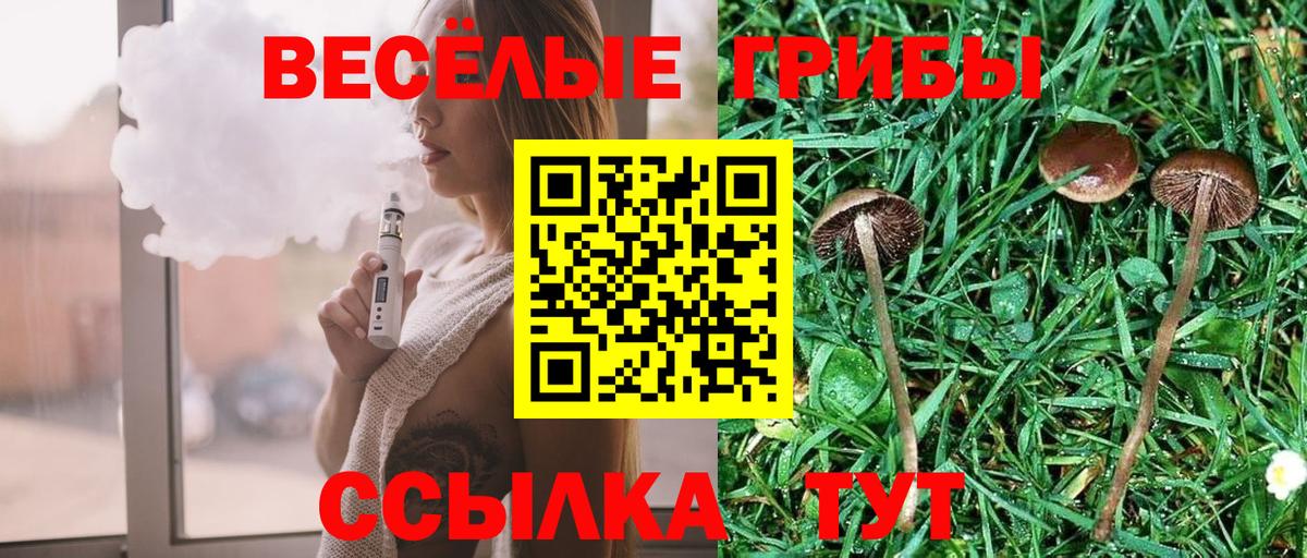 наркошоп  Псилоцибиновые грибы Cubensis  Вход с VPN  Галлюциногенные грибы MAGIC MUSHROOMS  Ханты-Мансийск 